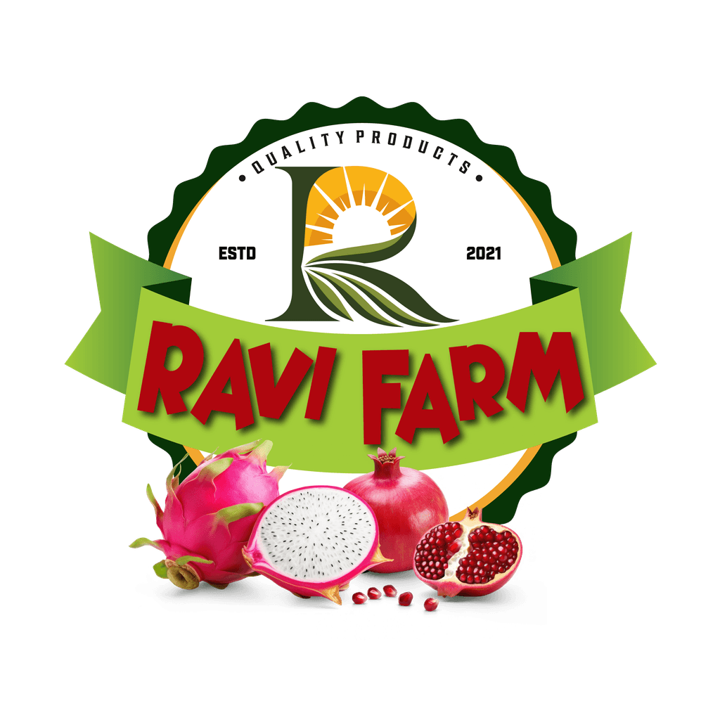 Ravi Farm logo
